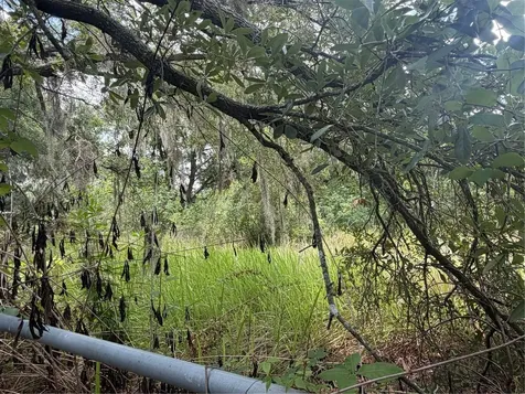 4447 Edwards Road Plant City FL 33567
