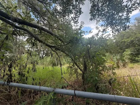4447 Edwards Road Plant City FL 33567