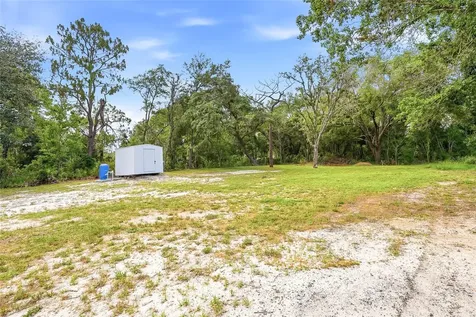 31848 Hedgerow Drive Wesley Chapel FL 33543
