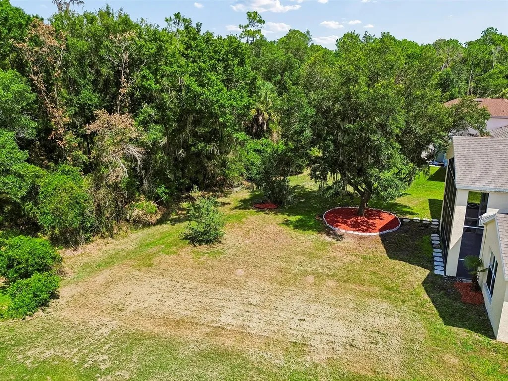 16936 Falconridge Road Lithia FL 33547