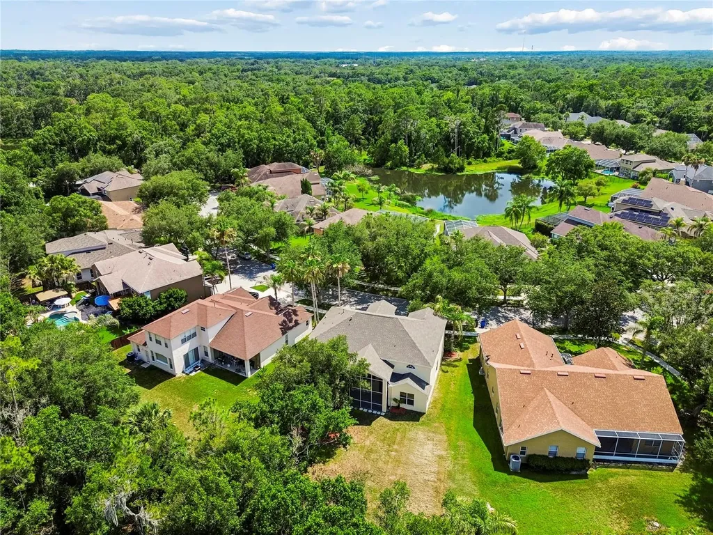 16936 Falconridge Road Lithia FL 33547