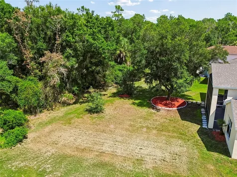 16936 Falconridge Road Lithia FL 33547