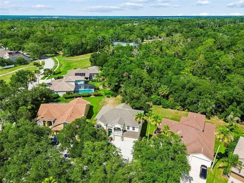 16936 Falconridge Road Lithia FL 33547