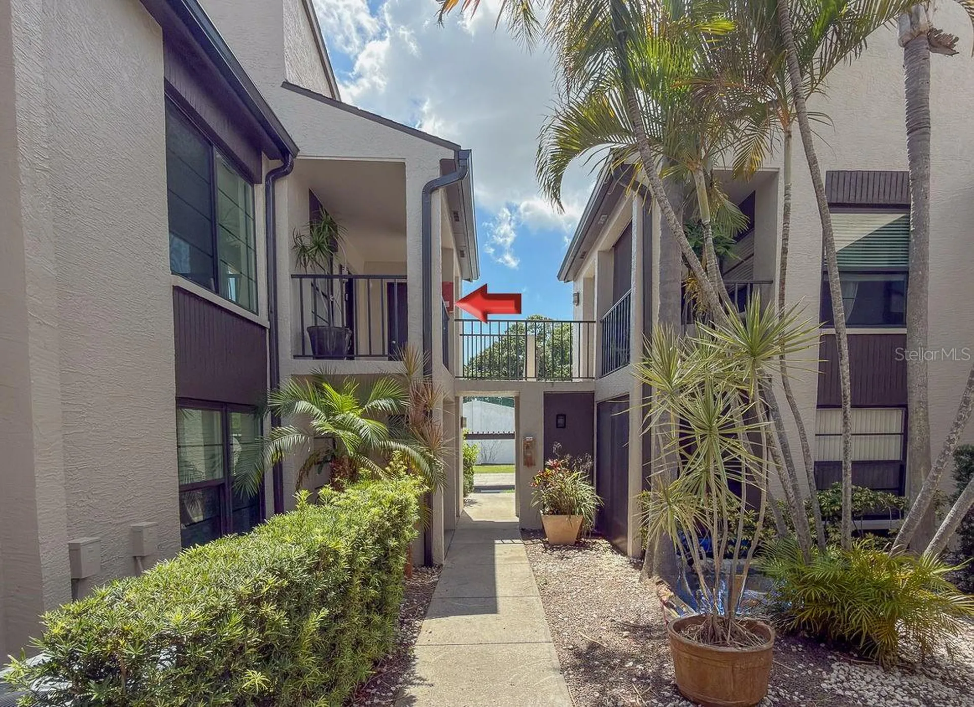 2599 Countryside Boulevard Clearwater FL 33761