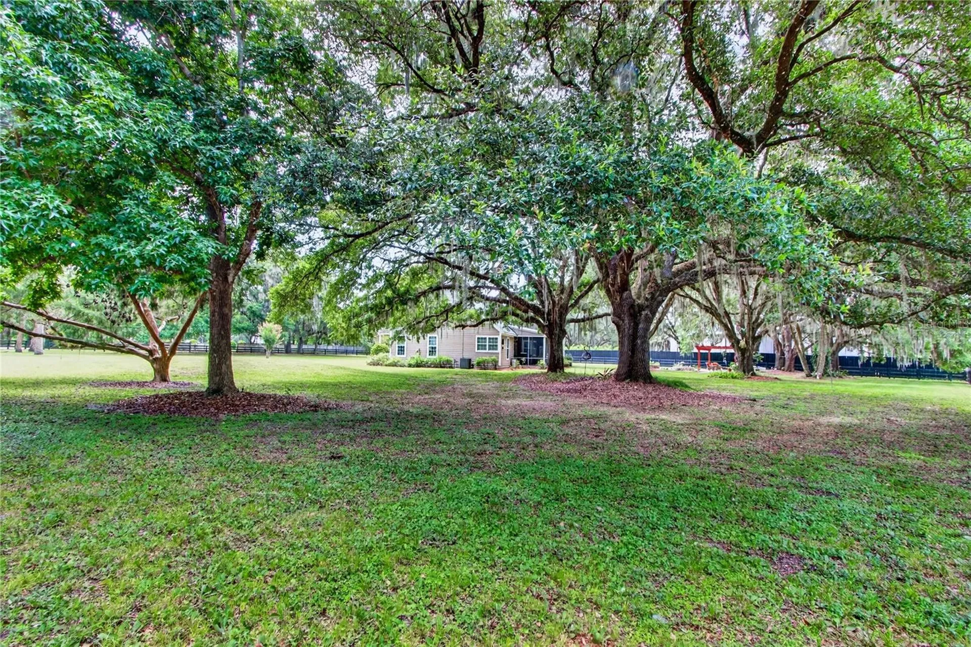 1460 Van Arsdale Street Oviedo FL 32765