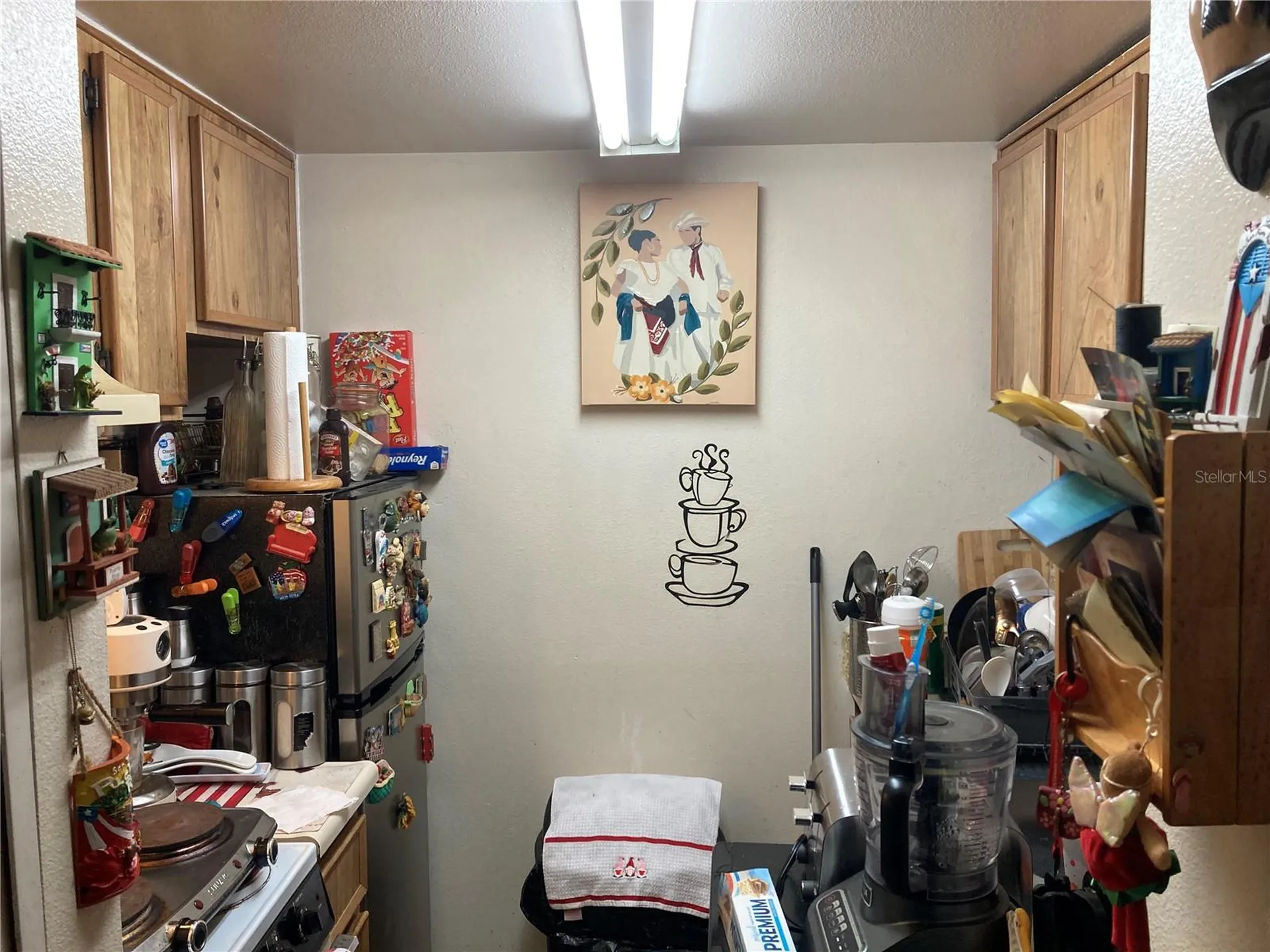 4143 Dolphin Drive Tampa FL 33617