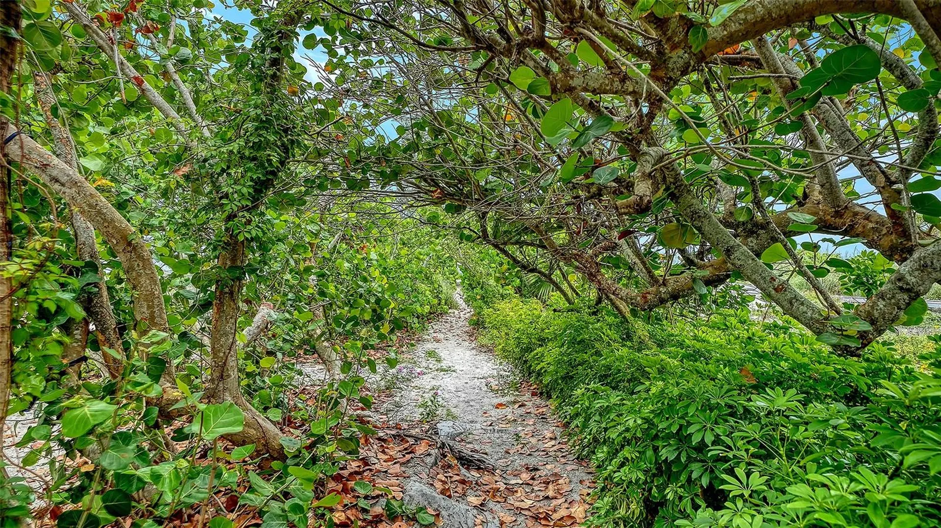 616 S Casey Key Road Nokomis FL 34275