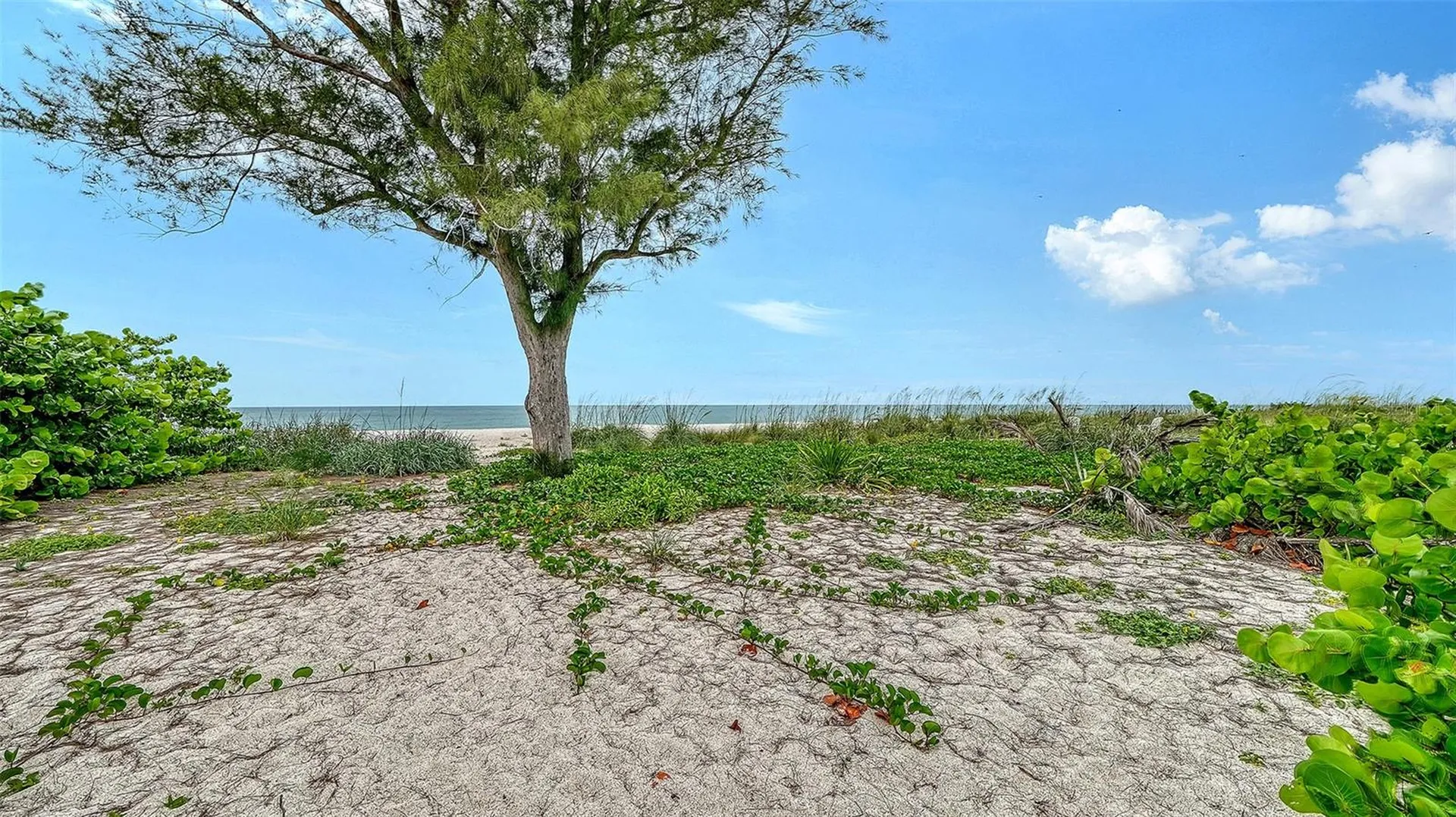 616 S Casey Key Road Nokomis FL 34275