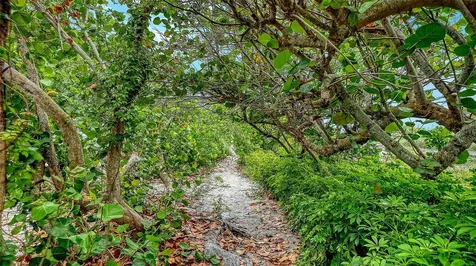 616 S Casey Key Road Nokomis FL 34275