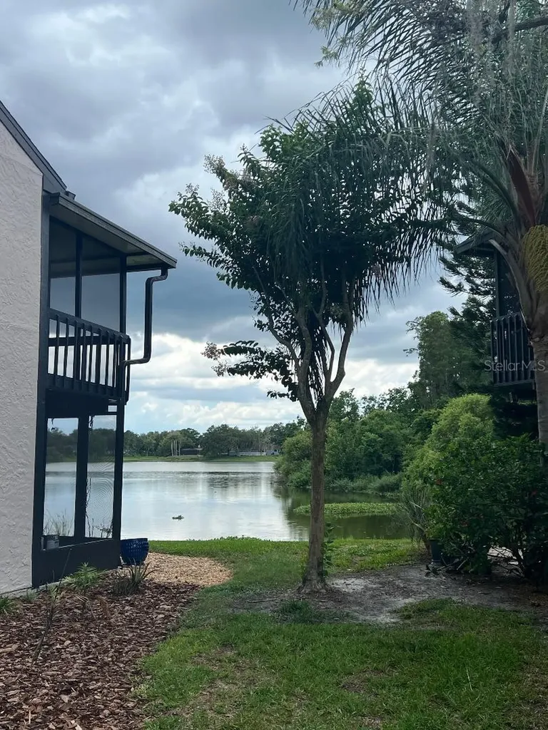 16596 Brigadoon Drive Tampa FL 33618