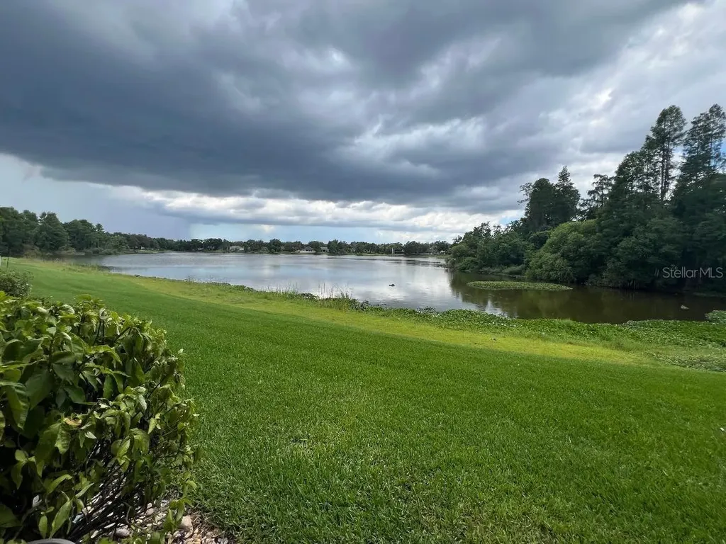 16596 Brigadoon Drive Tampa FL 33618