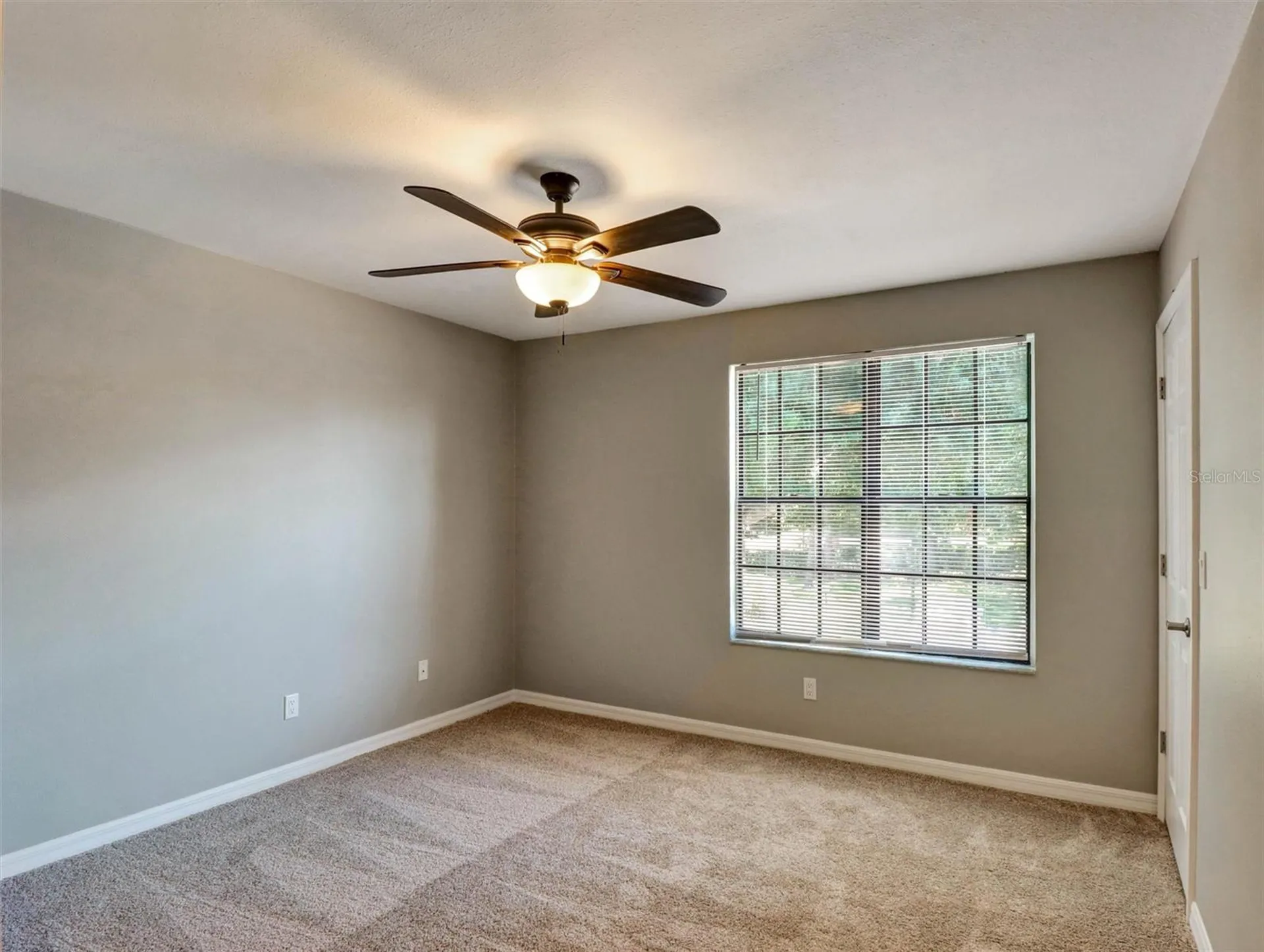 16596 Brigadoon Drive Tampa FL 33618