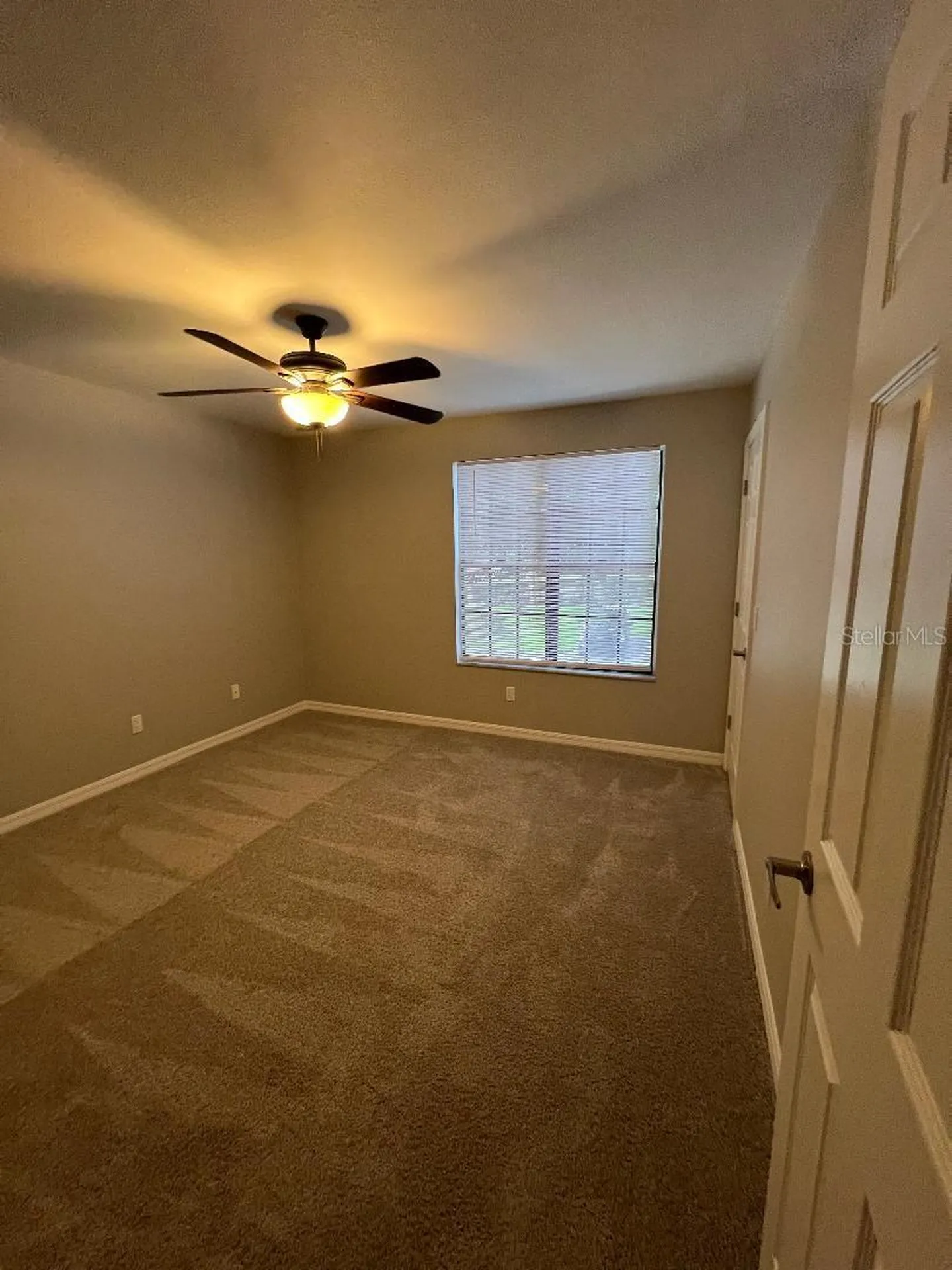 16596 Brigadoon Drive Tampa FL 33618