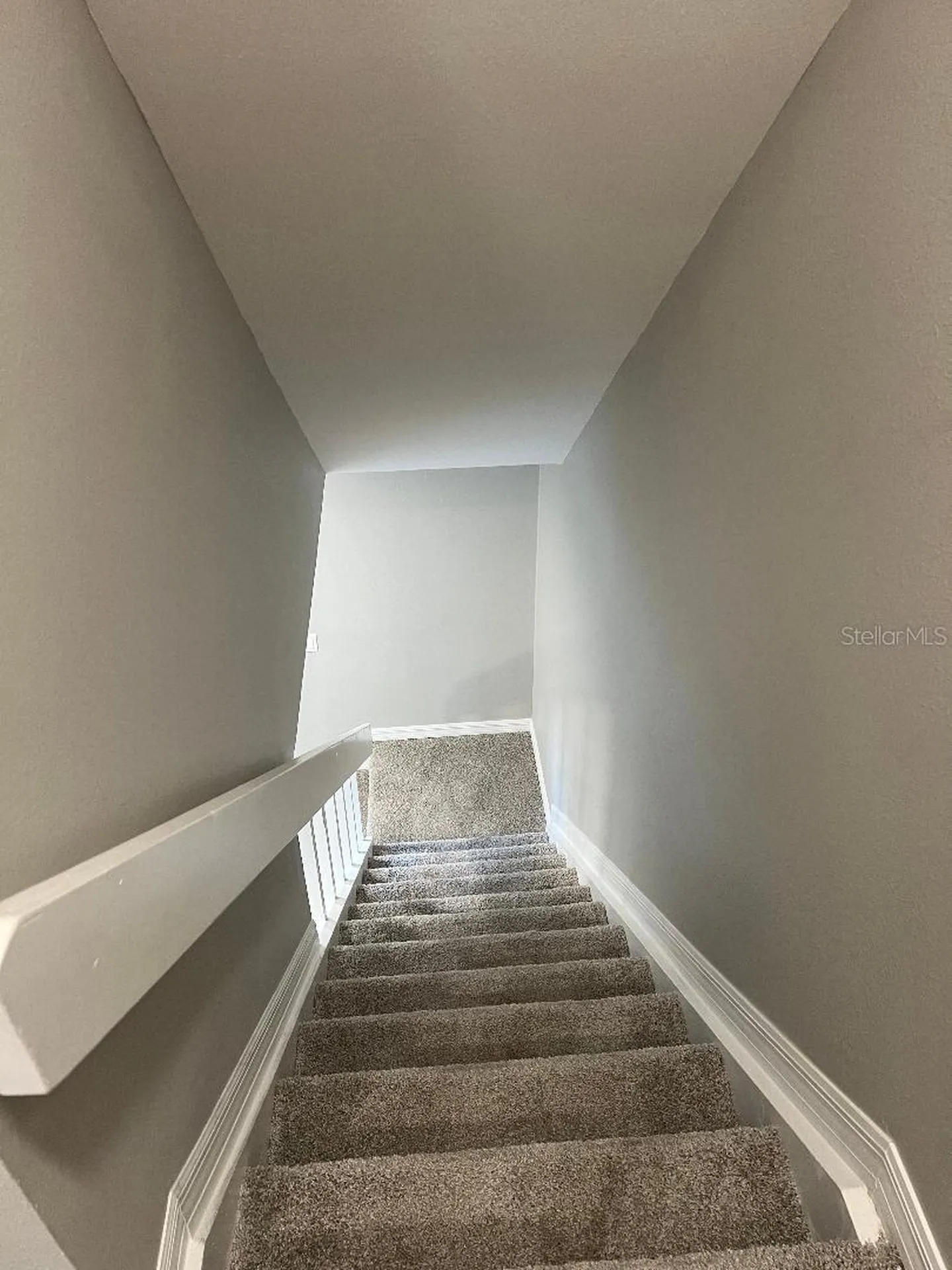 16596 Brigadoon Drive Tampa FL 33618