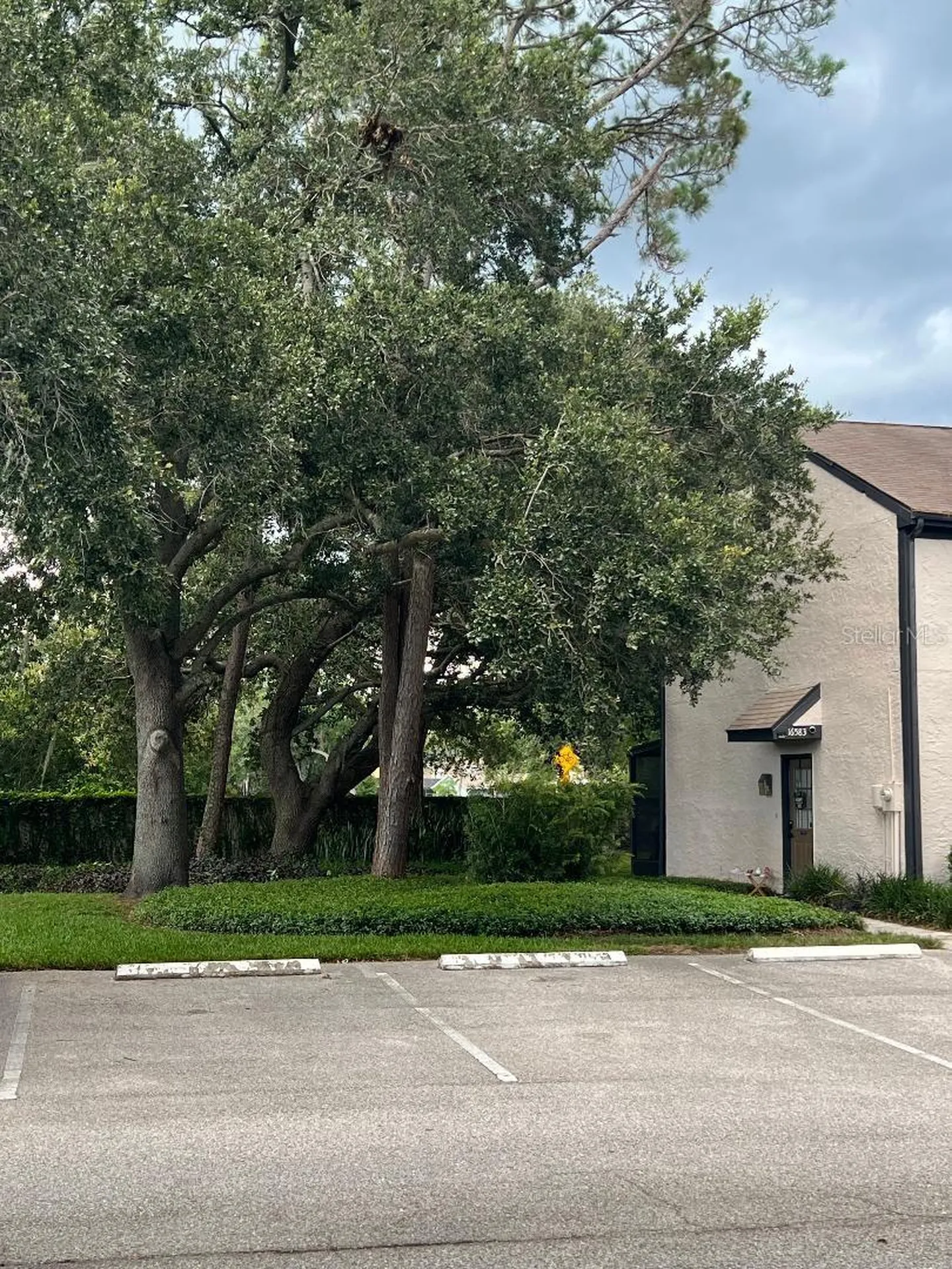 16596 Brigadoon Drive Tampa FL 33618