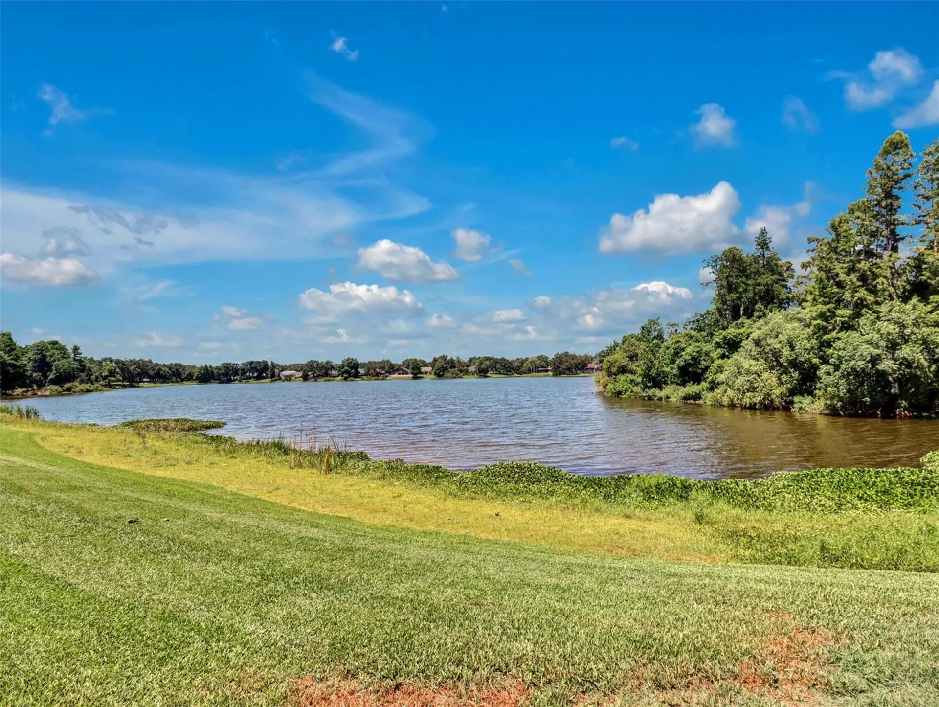 16596 Brigadoon Drive Tampa FL 33618