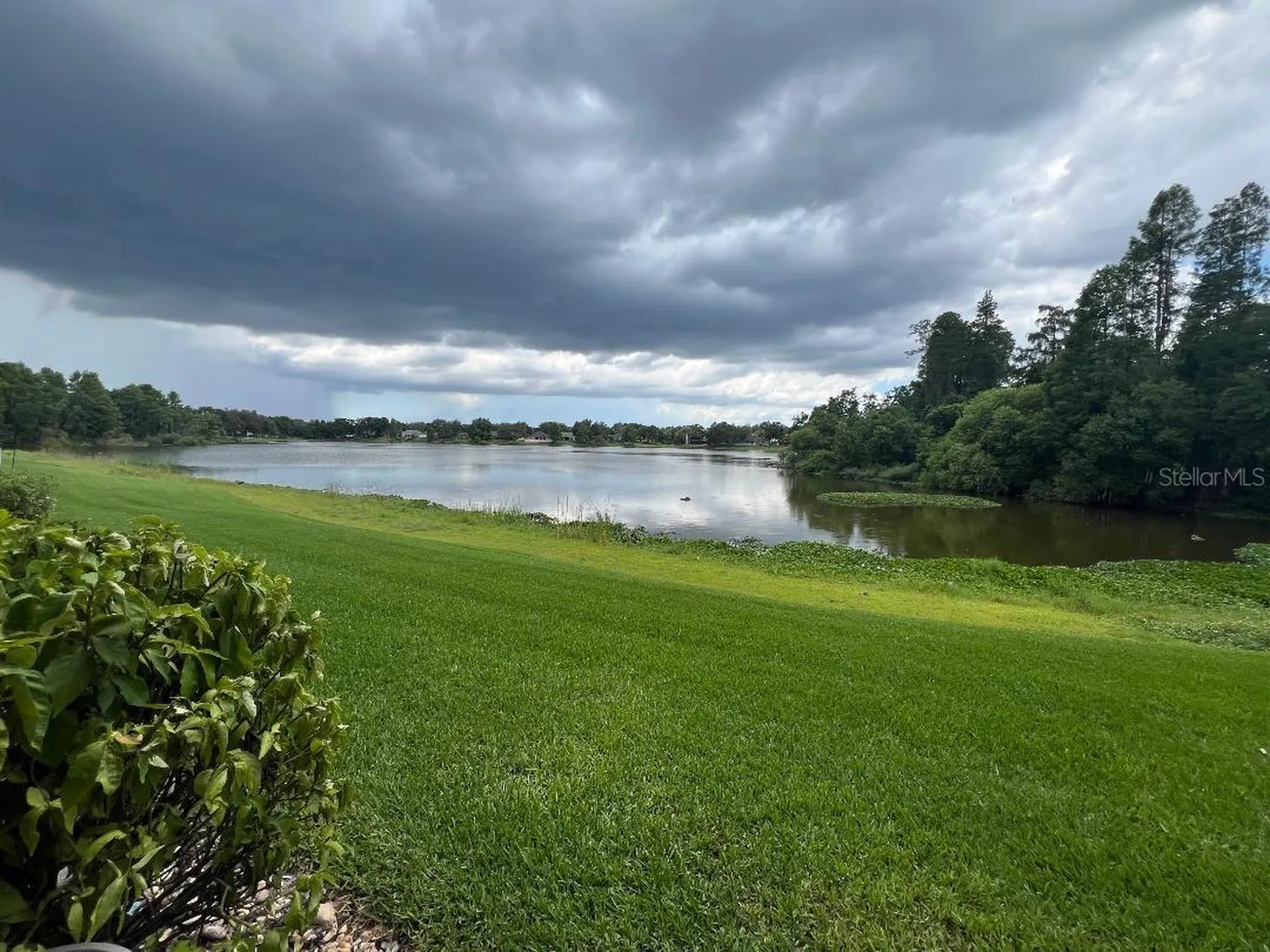 16596 Brigadoon Drive Tampa FL 33618