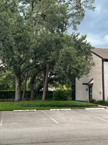 16596 Brigadoon Drive Tampa FL 33618