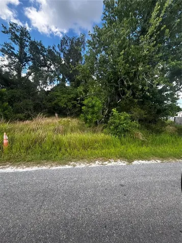 Lee Street Bowling Green FL 33834