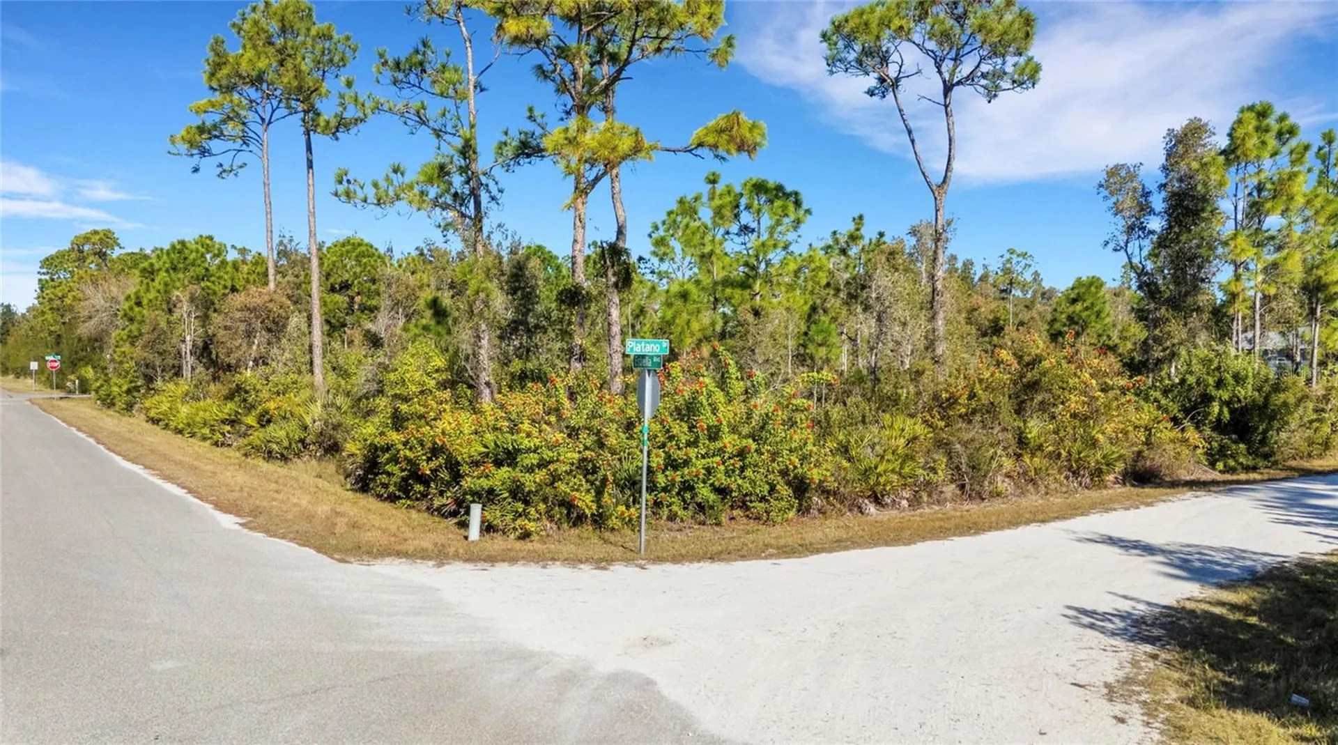 12147 Platano Drive Punta Gorda FL 33955