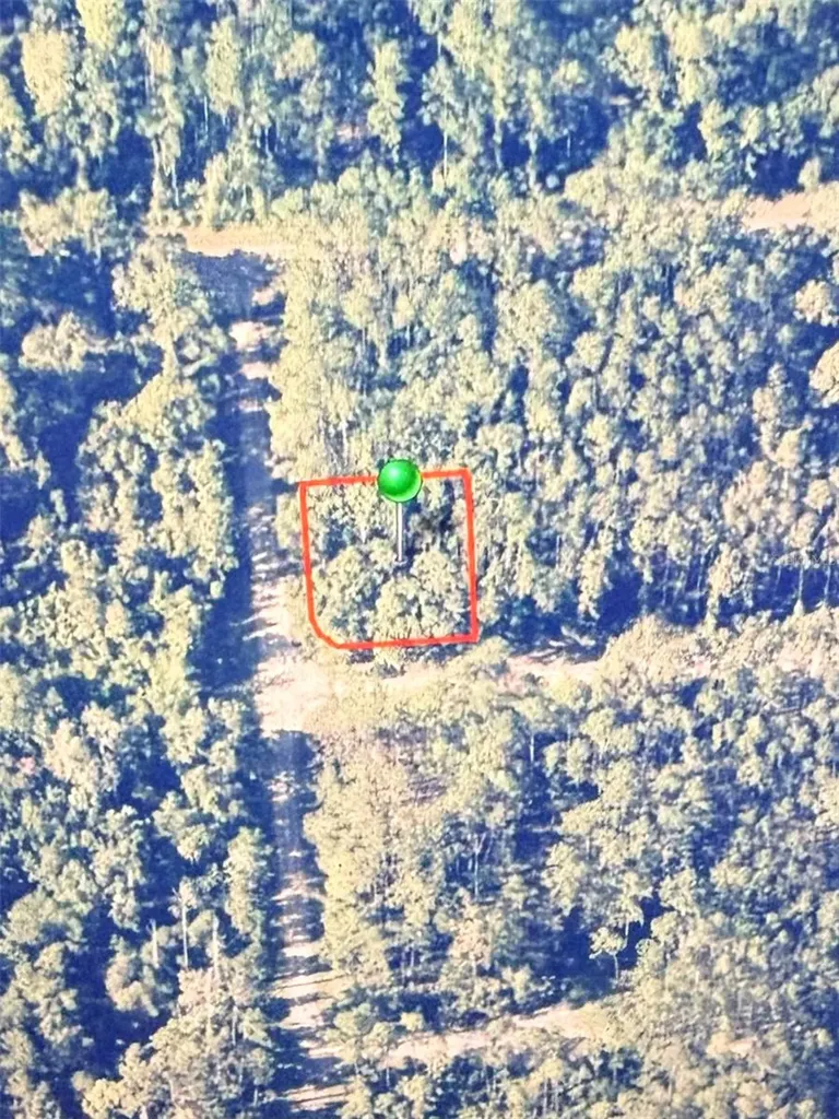 1124 Vercelli Lane Citrus Springs FL 34434