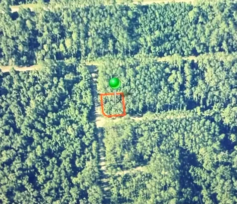 1124 Vercelli Lane Citrus Springs FL 34434