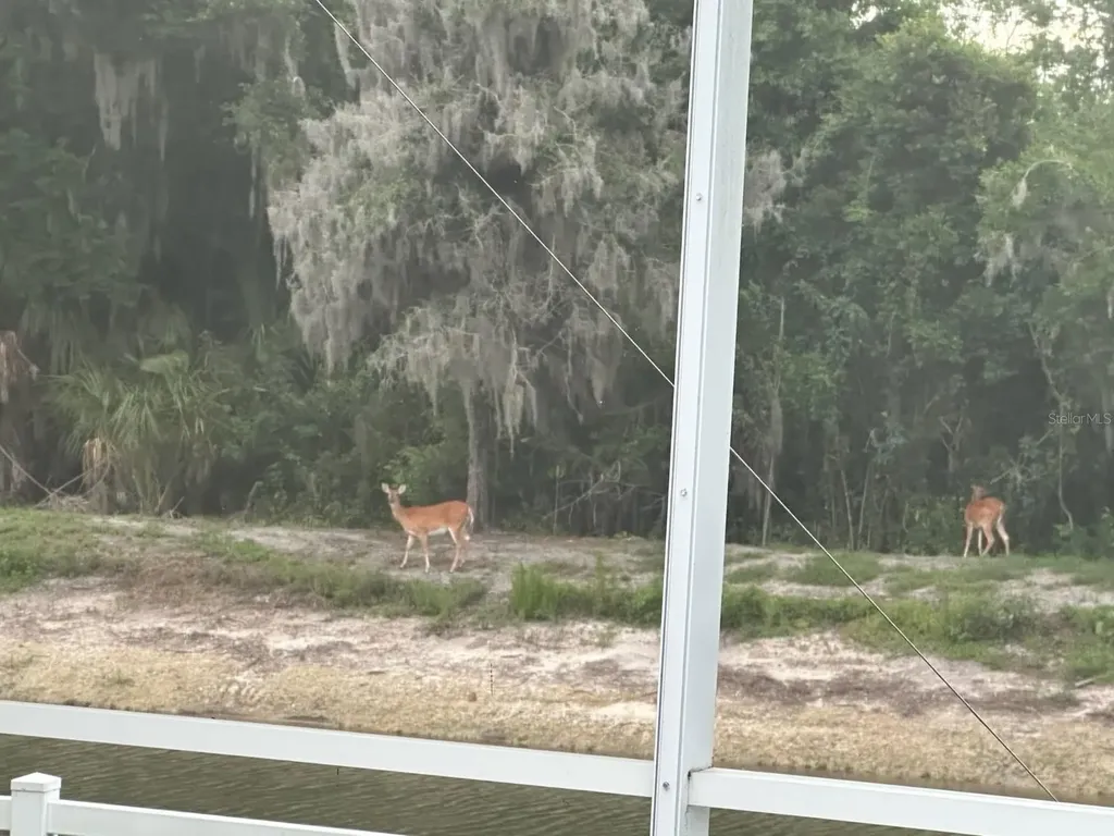 4527 Ferrys Mill Place Ellenton FL 34222