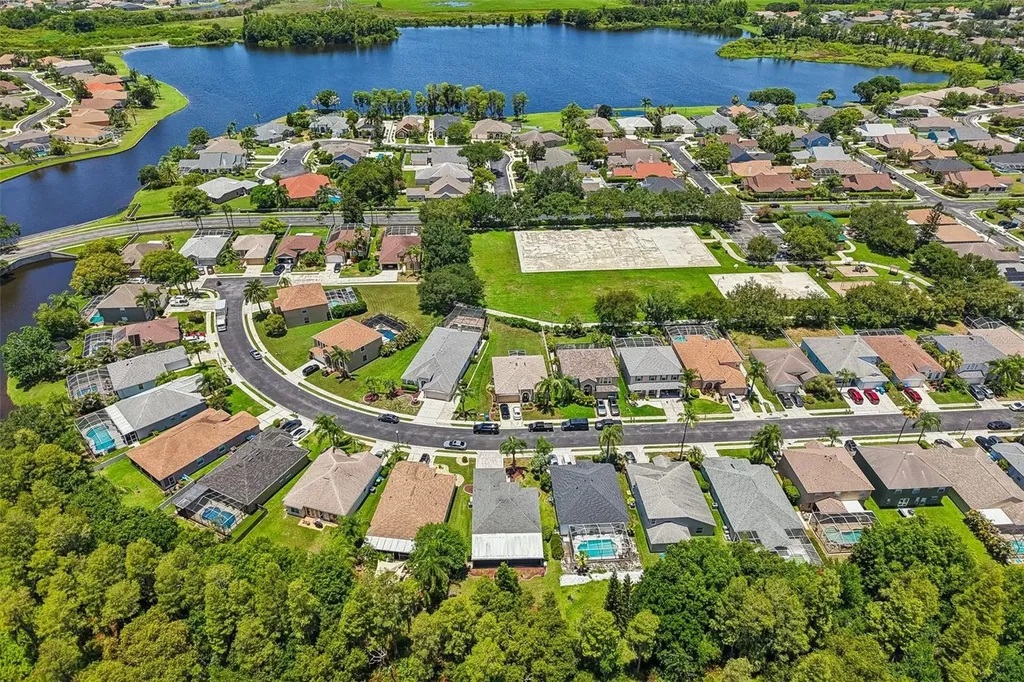 1628 Crossvine Court Trinity FL 34655