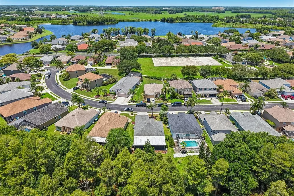 1628 Crossvine Court Trinity FL 34655