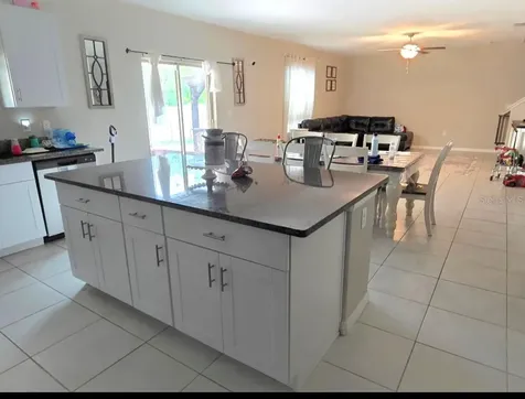 1561 Flower Dust Drive Ruskin FL 33570