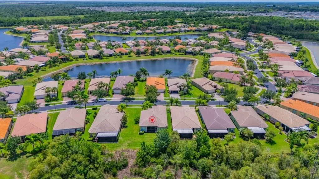 16127 Cape Coral Drive Wimauma FL 33598