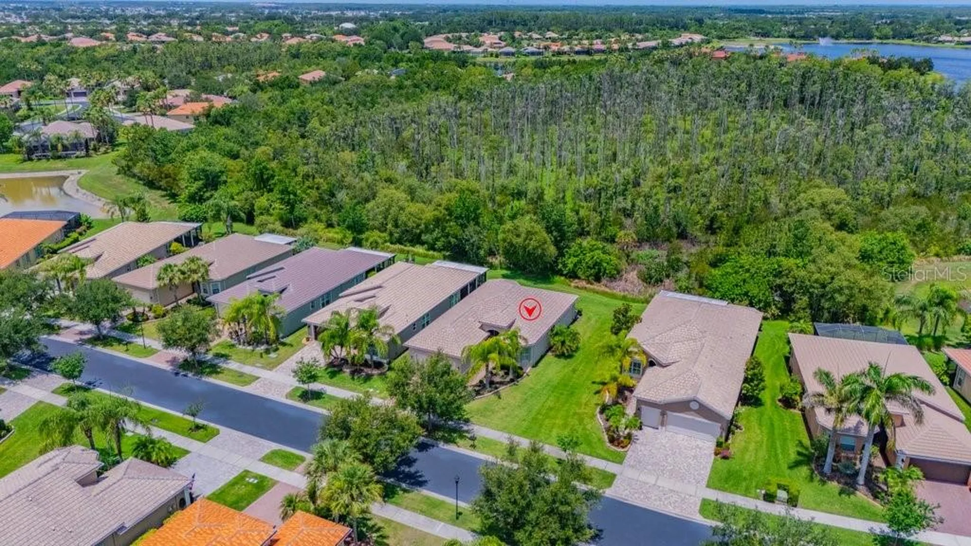 16127 Cape Coral Drive Wimauma FL 33598