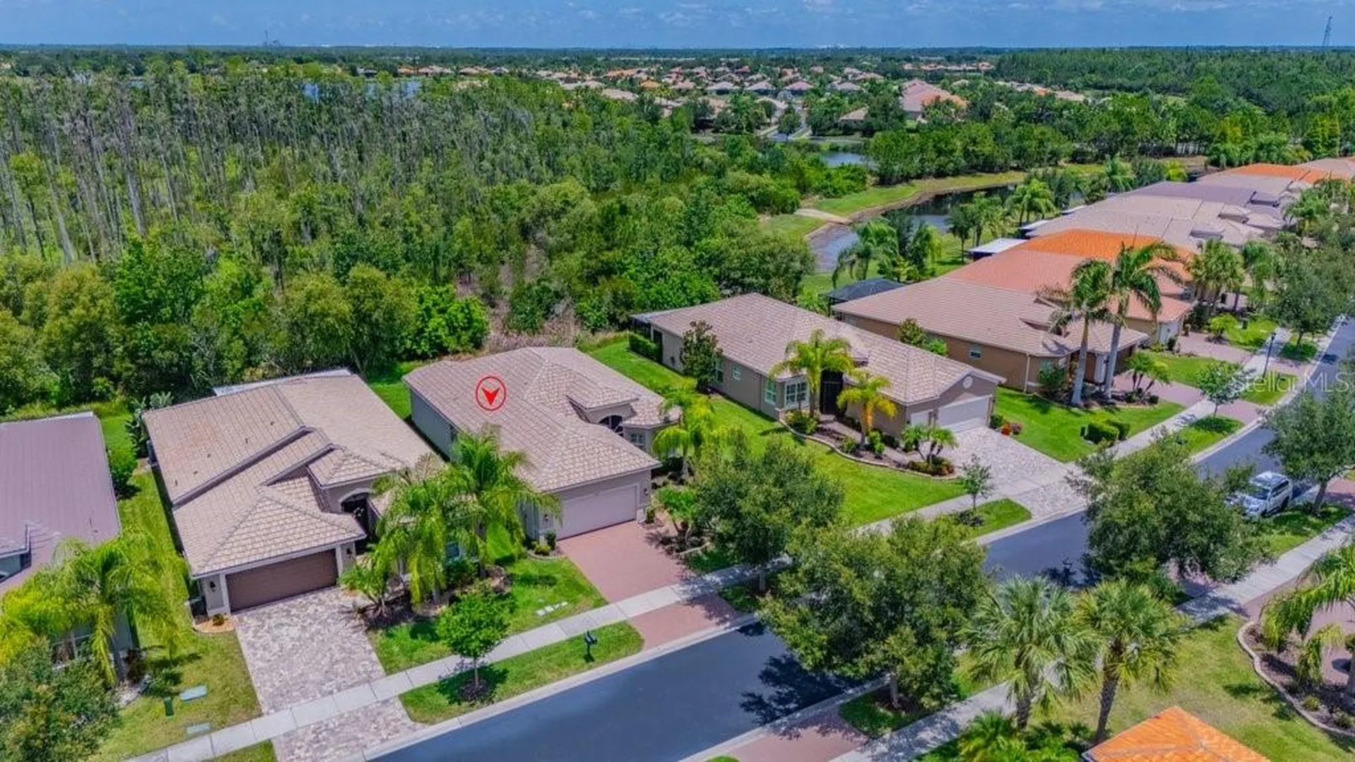 16127 Cape Coral Drive Wimauma FL 33598