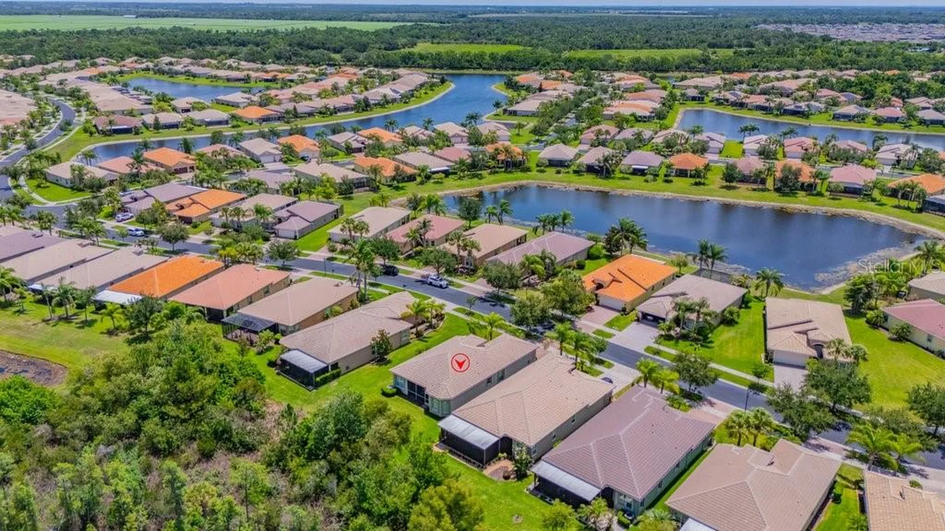 16127 Cape Coral Drive Wimauma FL 33598