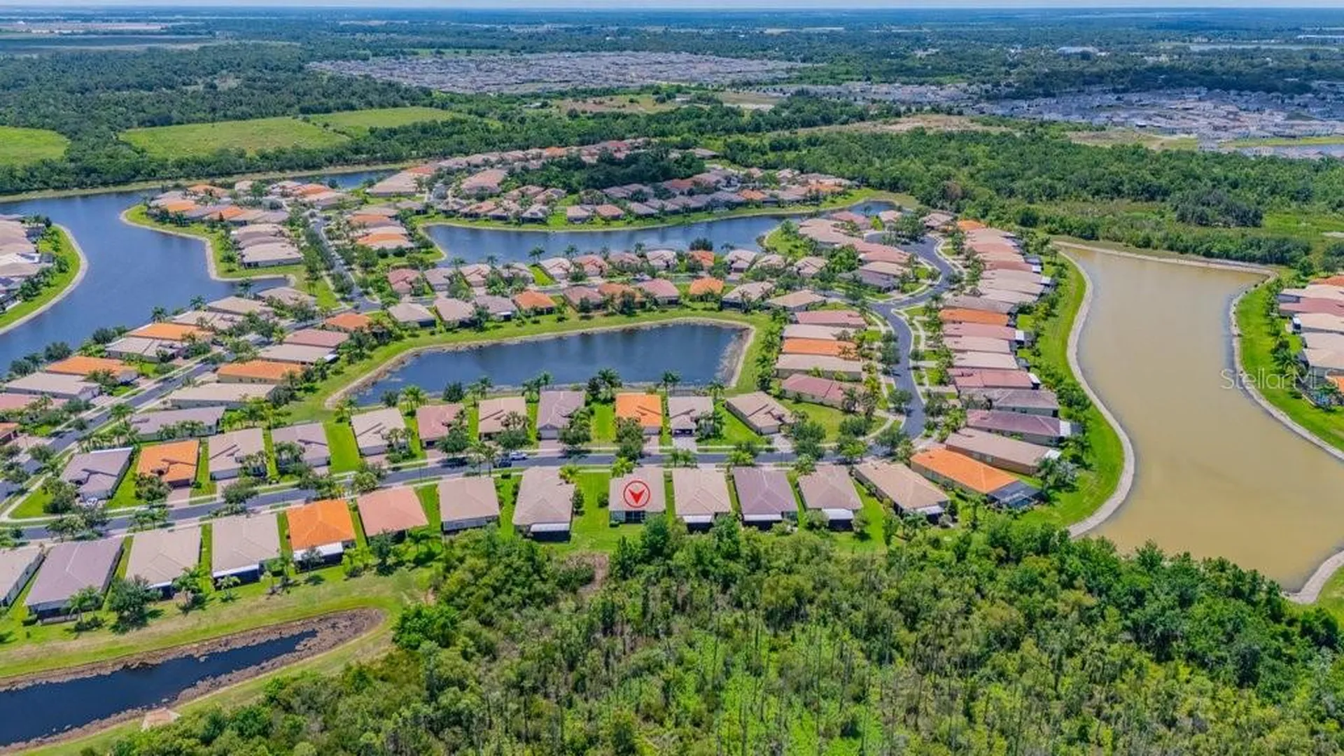 16127 Cape Coral Drive Wimauma FL 33598