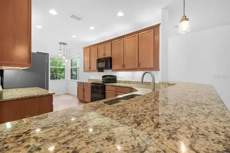 15665 Aurora Lake Circle Wimauma FL 33598