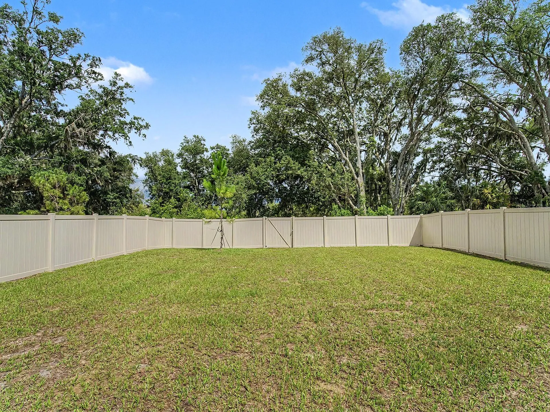 13484 Mylion Way Spring Hill FL 34610