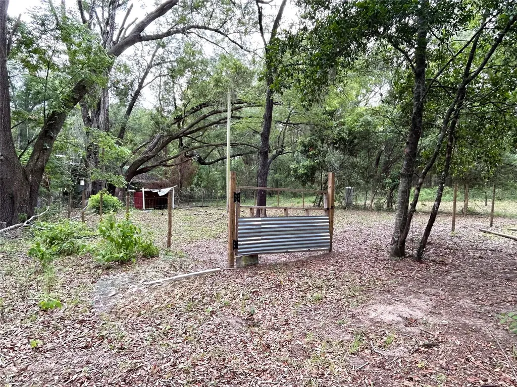 11922 NW 197th Terrace Alachua FL 32615