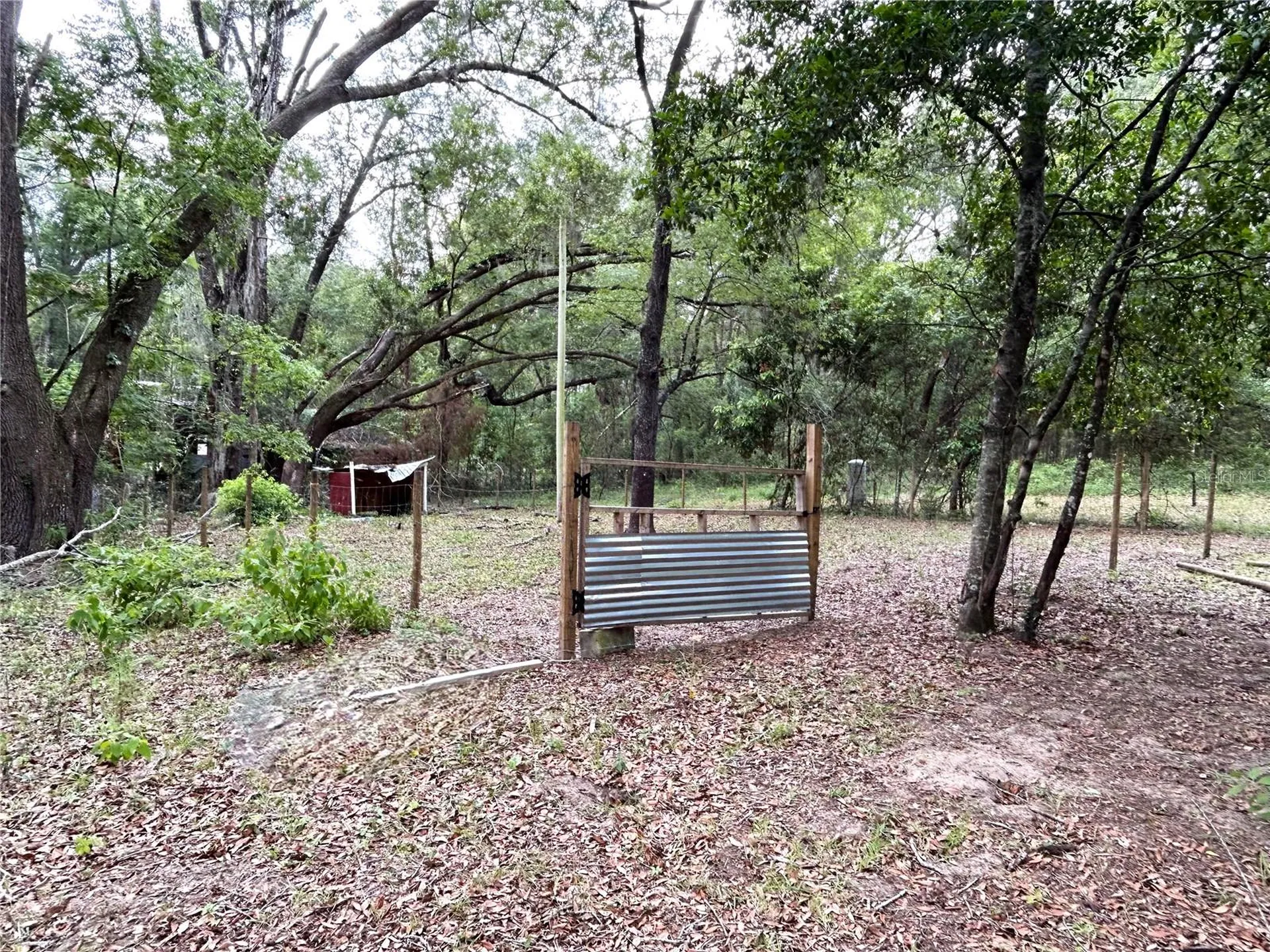 11922 NW 197th Terrace Alachua FL 32615