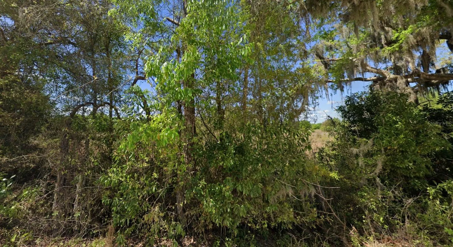 Off NW Cr 138 Branford FL 32008