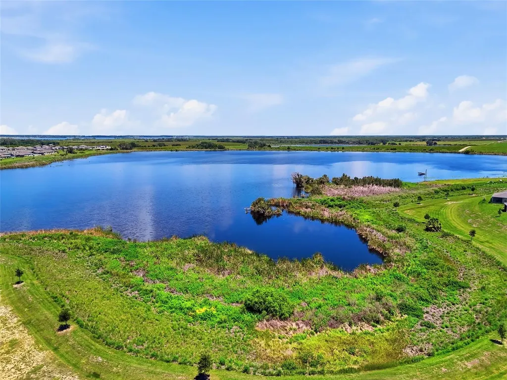 984 Griffon Avenue Lake Alfred FL 33850