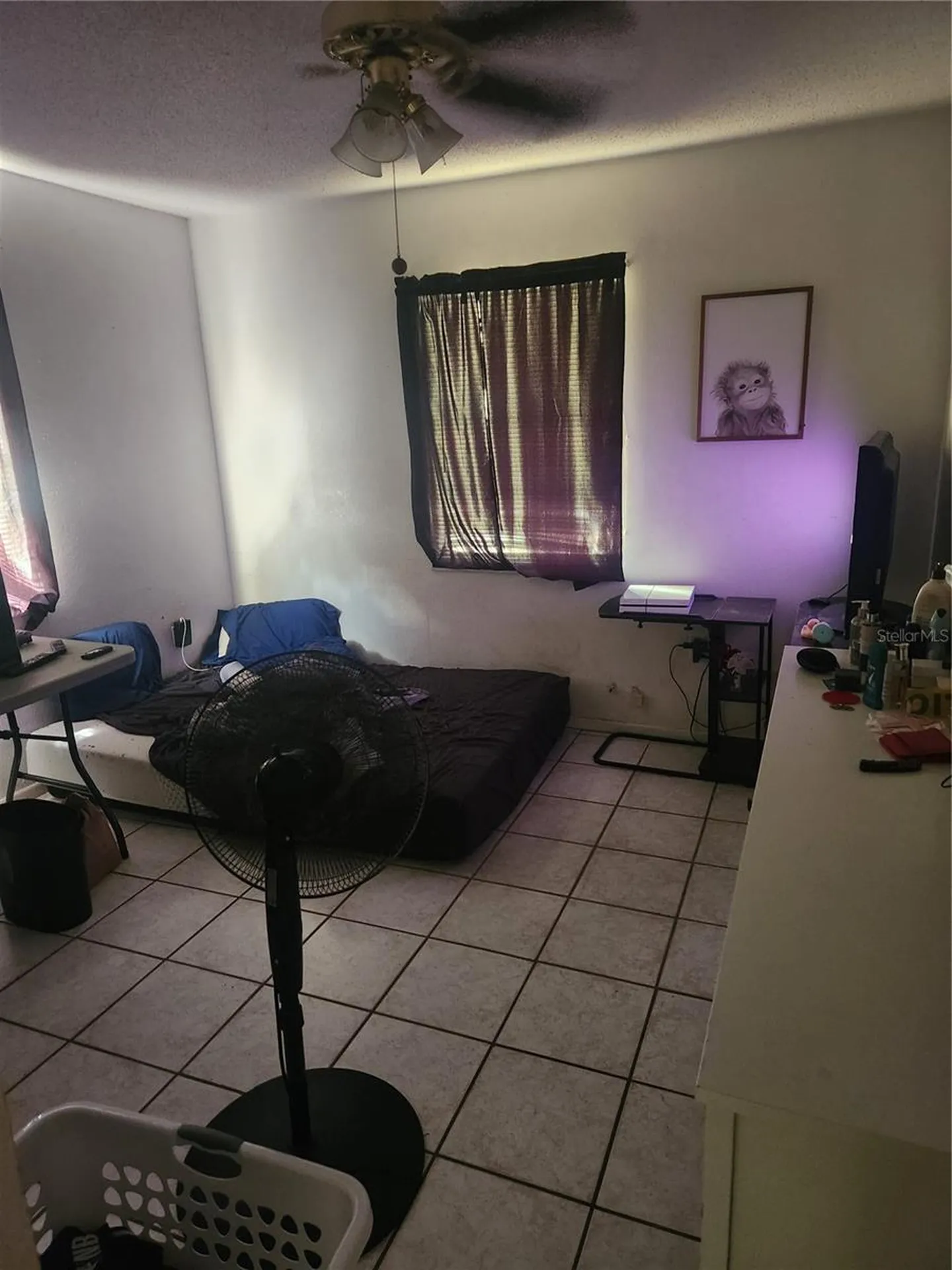 11234 Elgin Boulevard Spring Hill FL 34608