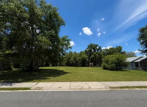 711 Pine Mount Dora FL 32757