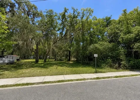 711 Pine Mount Dora FL 32757