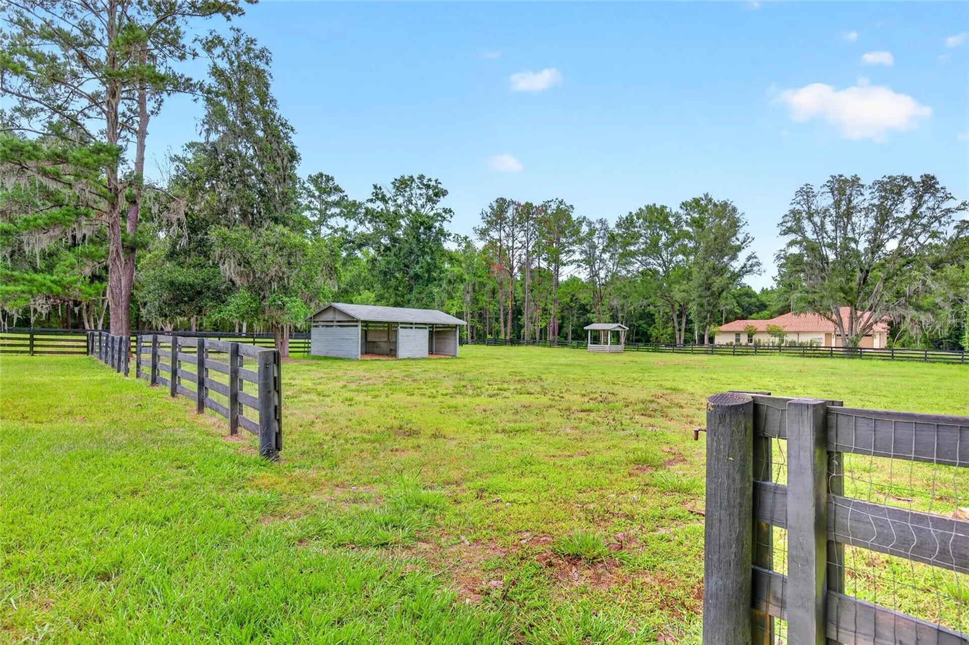 14144 NW 141st Avenue Williston FL 32696