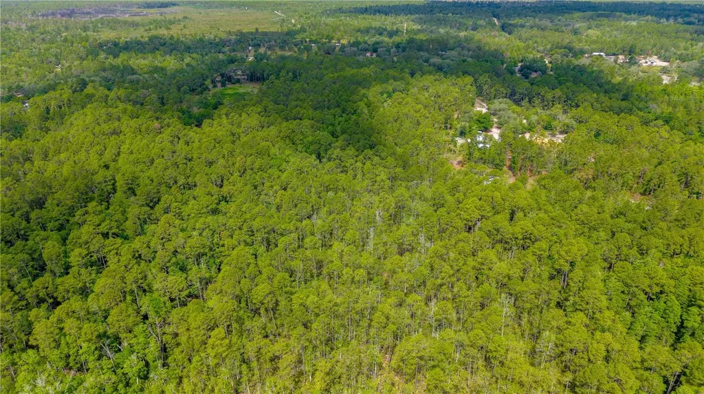Golden Oak Lane Keystone Heights FL 32656