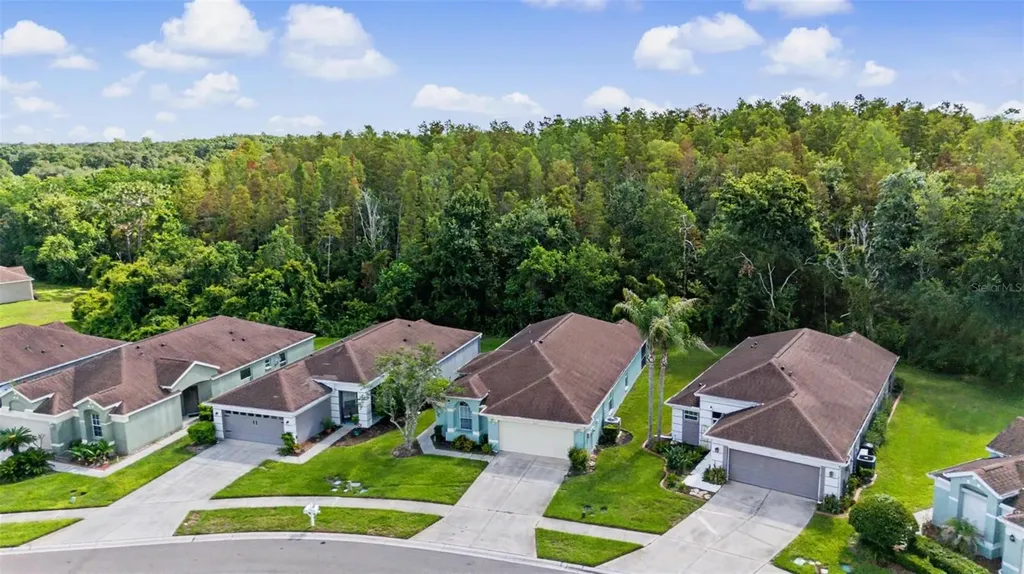 5526 Gallant Fox Court Wesley Chapel FL 33544