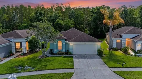 5526 Gallant Fox Court Wesley Chapel FL 33544