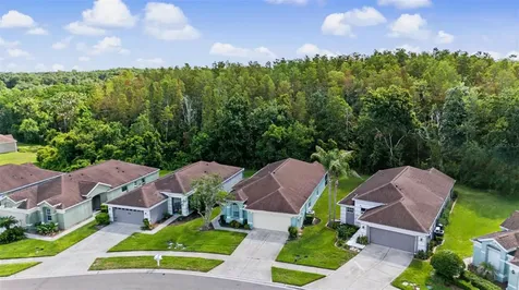 5526 Gallant Fox Court Wesley Chapel FL 33544