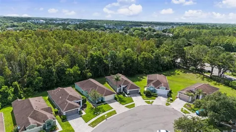 5526 Gallant Fox Court Wesley Chapel FL 33544
